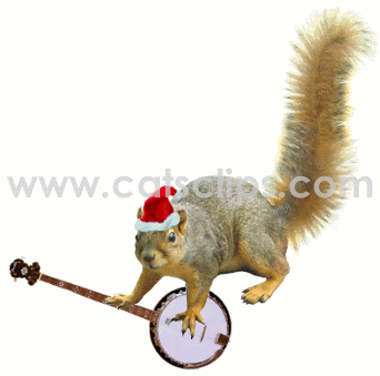 christmas banjo squirrel animated GIF