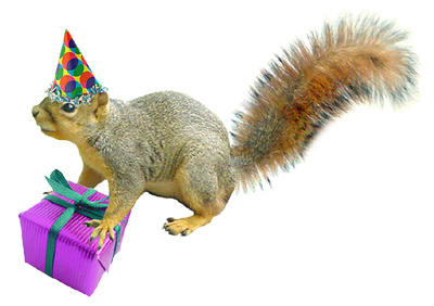 party squirrel with gift