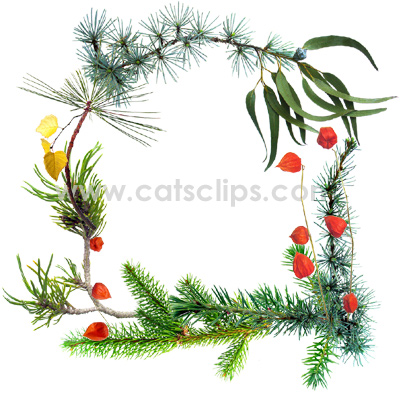X plant wreath