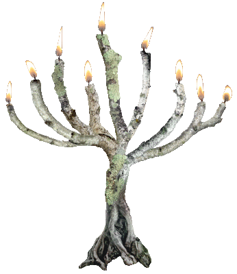 branch menorah animated gif