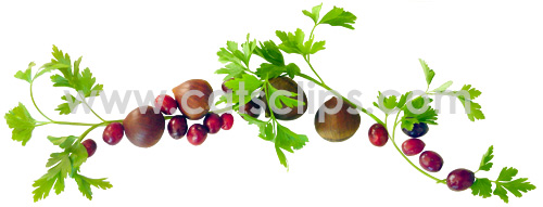 parsley chestnut cranberry border