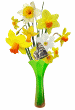 daffodil butterfly animated gif