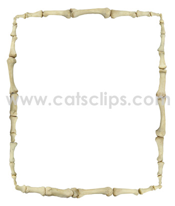 Finger Bones Border