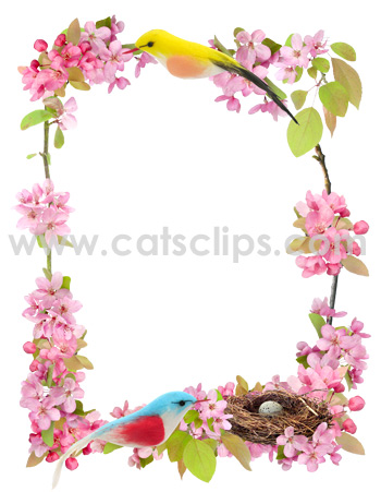 flowers colored birds nest