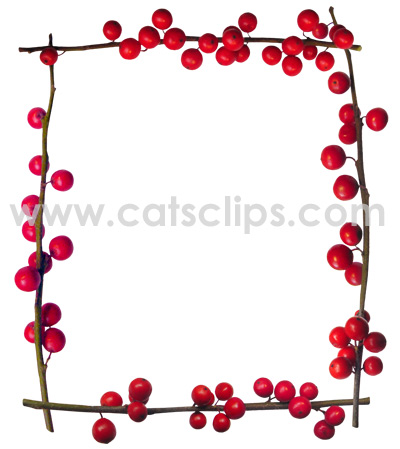 Holly Berries Border