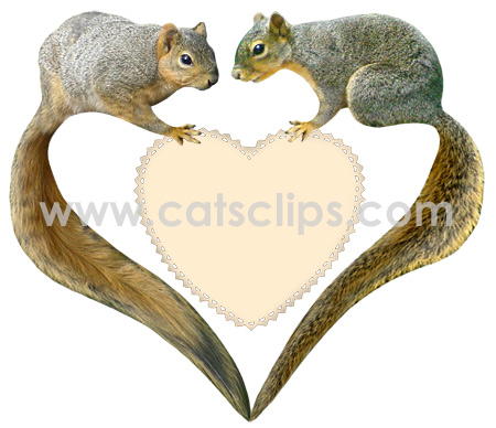 love squirrels heart border