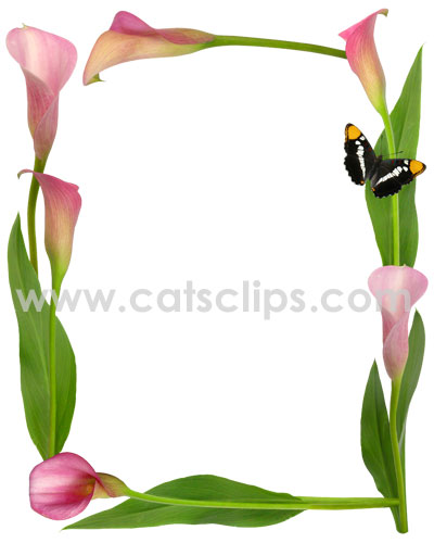 pink calla lily border from catsclips.com