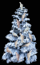 snow dove tree animated GIF