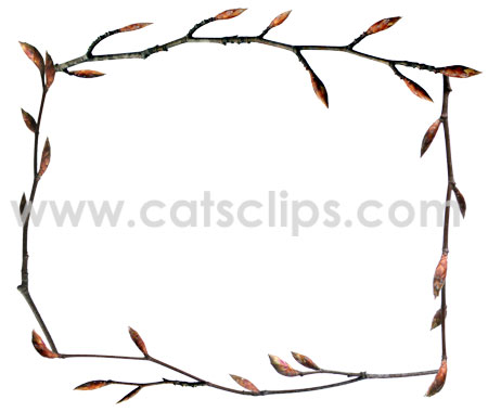 spring twig border