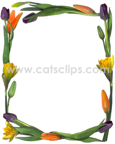 spring flower bouquet border from catsclips.com