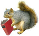 free clip art
