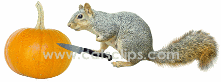 squirrel carving a pumpkin