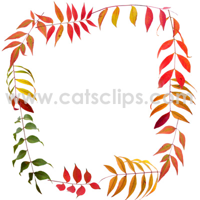 sumac leaves ring