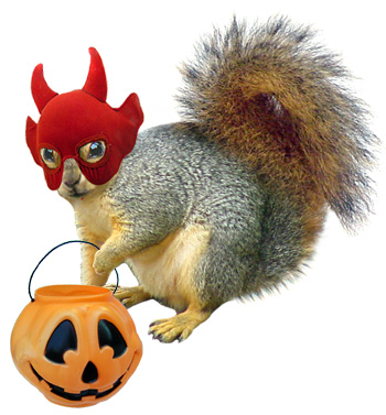trick or treat squirrel