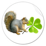 shamrock squirrel sticker