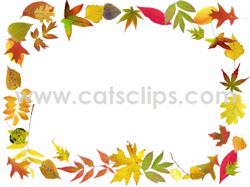 fall leaves animated borders